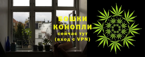 стафф Белокуриха