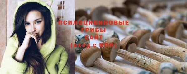 стафф Белокуриха