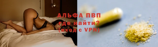 стафф Белокуриха