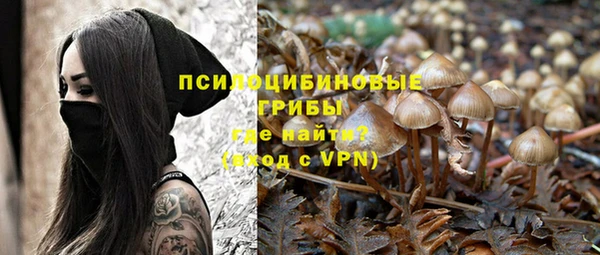 стафф Белокуриха